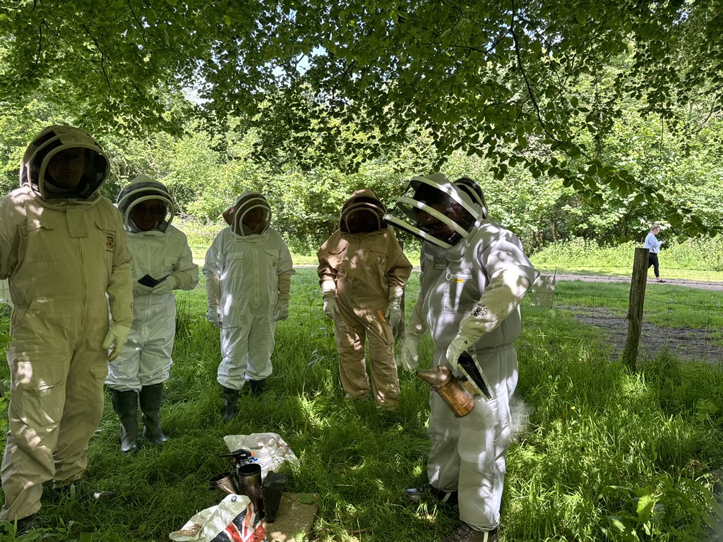 Thesixbees tweet media