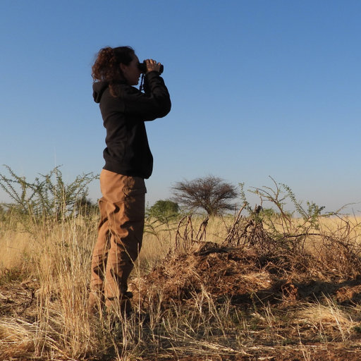 Elin Videvall tweet media