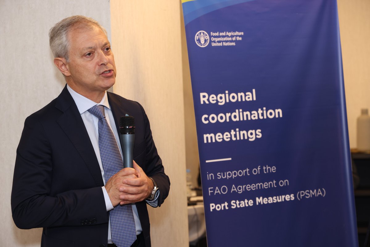 FAO au Maroc (@faomaroc) on Twitter photo #Casablanca accueille la 3e Réunion de coordination régionale de l'Accord de la <a href="/FAO/">Food and Agriculture Organization</a> sur les mesures du ressort de l'État du port! 🌍Des experts de l'Afrique et du Proche-Orient se réunissent pour lutter contre la pêche illicite, non déclarée et non réglementée #FightIUUfishing #Casablanca accueille la 3e Réunion de coordination régionale de l'Accord de la <a href="/FAO/">Food and Agriculture Organization</a> sur les mesures du ressort de l'État du port! 🌍Des experts de l'Afrique et du Proche-Orient se réunissent pour lutter contre la pêche illicite, non déclarée et non réglementée #FightIUUfishing