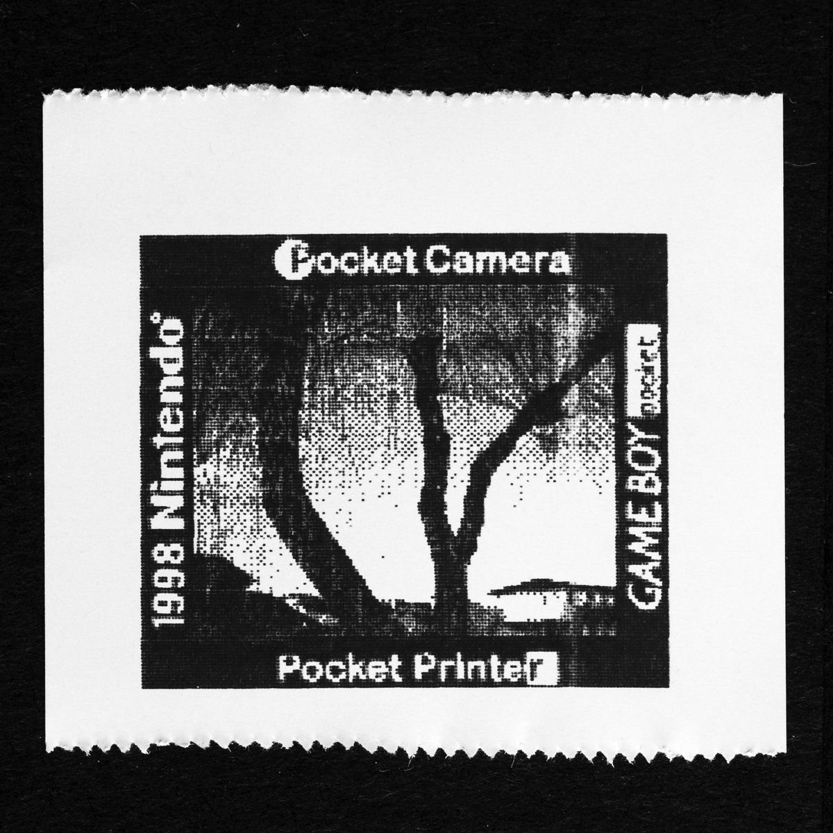 pokecamedays's tweet image. ✖️Panasonic
⭕️Nintendo

#ポケットカメラ #pocketcamera
#Nintendo #Nintendoart #Nintendogameboy 
#fineart #finearts #lofi #lofiphotography