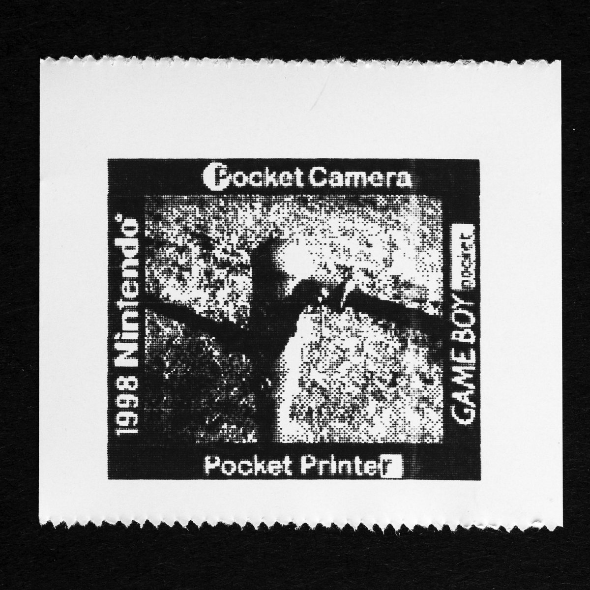 pokecamedays's tweet image. ✖️Panasonic
⭕️Nintendo

#ポケットカメラ #pocketcamera
#Nintendo #Nintendoart #Nintendogameboy 
#fineart #finearts #lofi #lofiphotography