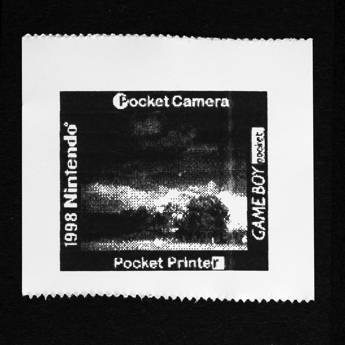 pokecamedays's tweet image. ✖️Panasonic
⭕️Nintendo

#ポケットカメラ #pocketcamera
#Nintendo #Nintendoart #Nintendogameboy 
#fineart #finearts #lofi #lofiphotography