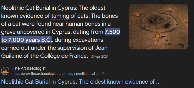 cryptofries_io's tweet photo. @adem_5361 Cyprus belongs to its cats! 🍟 https://t.co/YWKm1lMjTQ