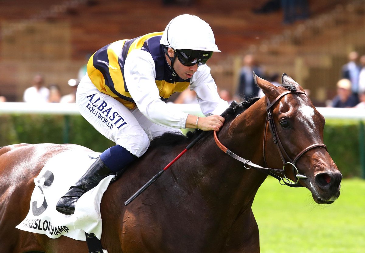 Camelot Colt Ignites Arc Dream With Group 2 Success. Connections of Sevenna’s Knight (4c Camelot – Sevenna, by Galileo) are now considering the Prix de l’Arc de... bit.ly/3V0T0V0