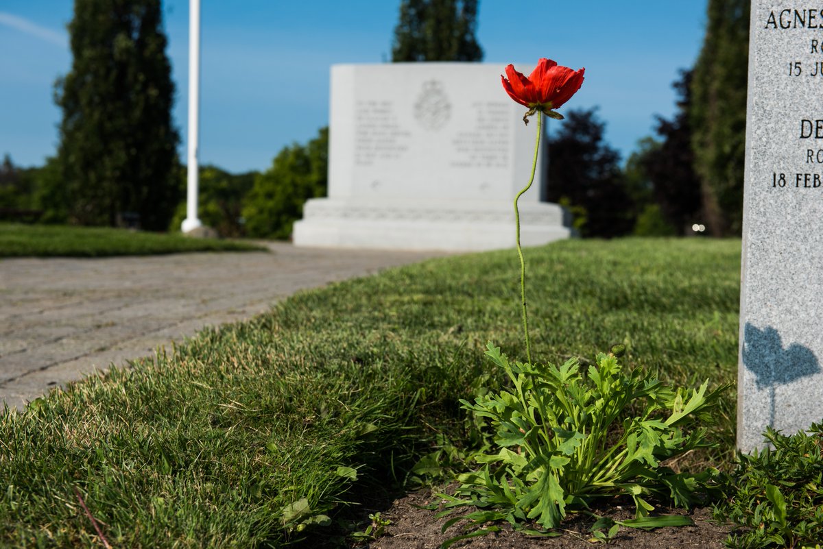 To the men and women of Canada's Armed Forces who have served their nation with distinction in war and in peace. Download the National Military Cemetery Planning E-Book and learn the simple planning process today! hubs.li/Q02mxJtw0