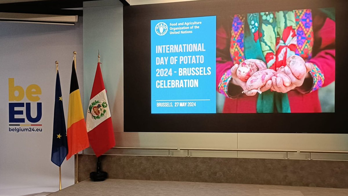 🇧🇪🇪🇺Under the auspices of #EU2024BE, the <a href="/FAO/">Food and Agriculture Organization</a> has organised an event for the first International day of potato 2024. Potato is a large part of the Belgian gastronomy. This event was the occasion to underline the importance of the potato to global food security. #WorldPotatoDay