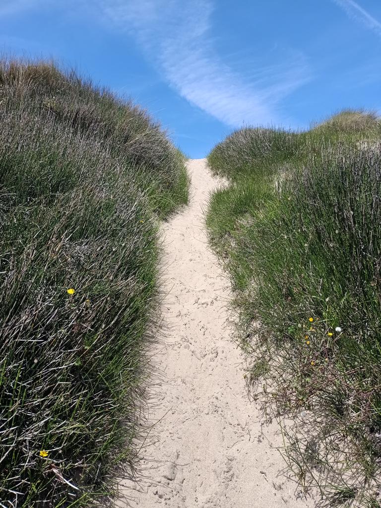 Dunas del Espartal,playa Salinas.