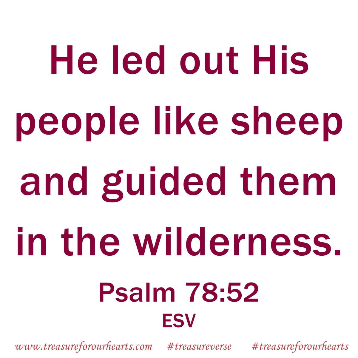 We can trust Him, He guides, He provides, especially when we are wandering in the wilderness . .

#treasureforourhearts #treasureverse #Godsword #bibleverse #psalms 
Lin