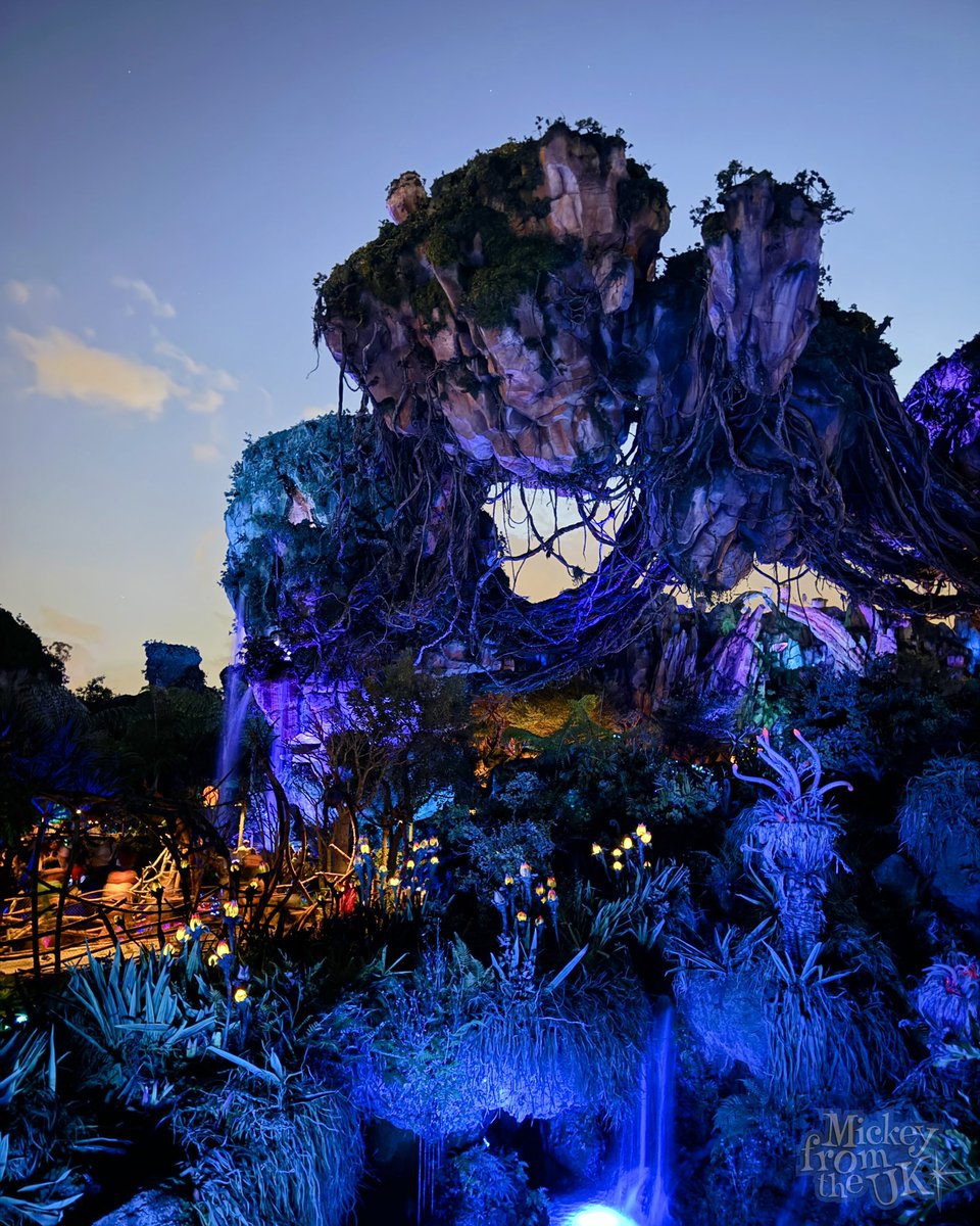 Pandora - The World Of Avatar at night! Recently we were at Disney’s Animal Kingdom on a rare night it was open late when dark and the land was all lit up - beautiful!

#disneyworld #waltdisneyworld #disneyparksuk #disneyparks #disneyuk #animalkingdom #disneysanimalkingdom