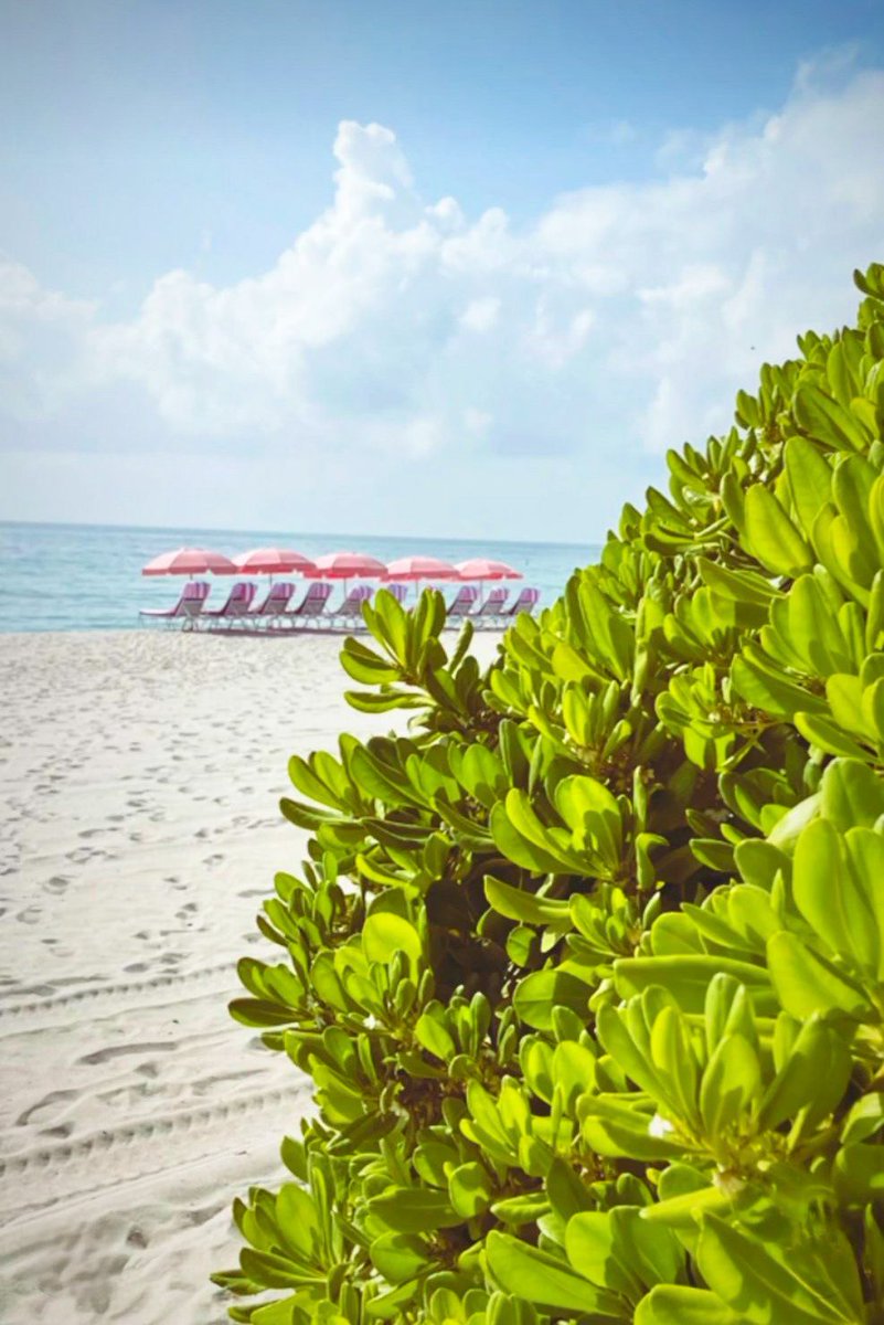 GrandSurfside's tweet photo. Sun, sand, and remembrance.
Happy Memorial Day from Miami!
πΈ steph722001
#memorialday #surfsidebeach #surfsidefl #memorialdayweekend #holiday #remembranceday #miamibeach #us #usa #nationalholiday #longweekend #miami #grateful #alwaysremember #miamibeach #miamiliving https://t.co/2qqI0Nq6Vr