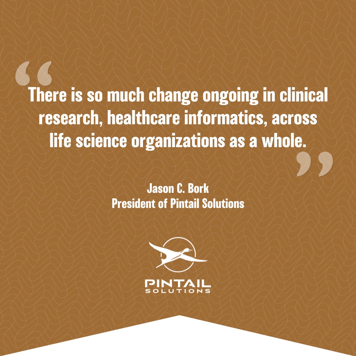 Pintail Solutions tweet media