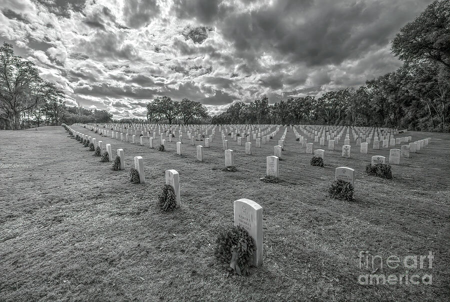 New artwork for sale! - 'Florida National Cemetery, Buchnell, Florida' - fineartamerica.com/featured/flori… #photography #naturephotography #memorialday #cemetery #military #wars