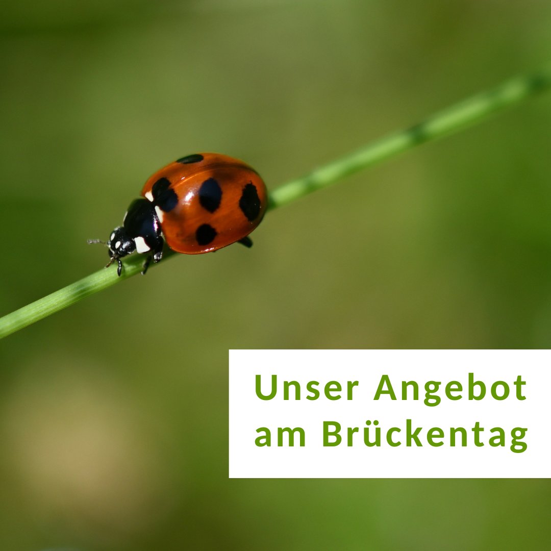 Am Brückentag haben wir geöffnet wie jeden Freitag. Das bedeutet: Jaaaa, es gibt Frühstück!  Wie immer von 9 bis 11 Uhr.  Bis 12 Uhr sind wir telefonisch und persönlich erreichbar. Dann kann auch die Post abgeholt werden.
