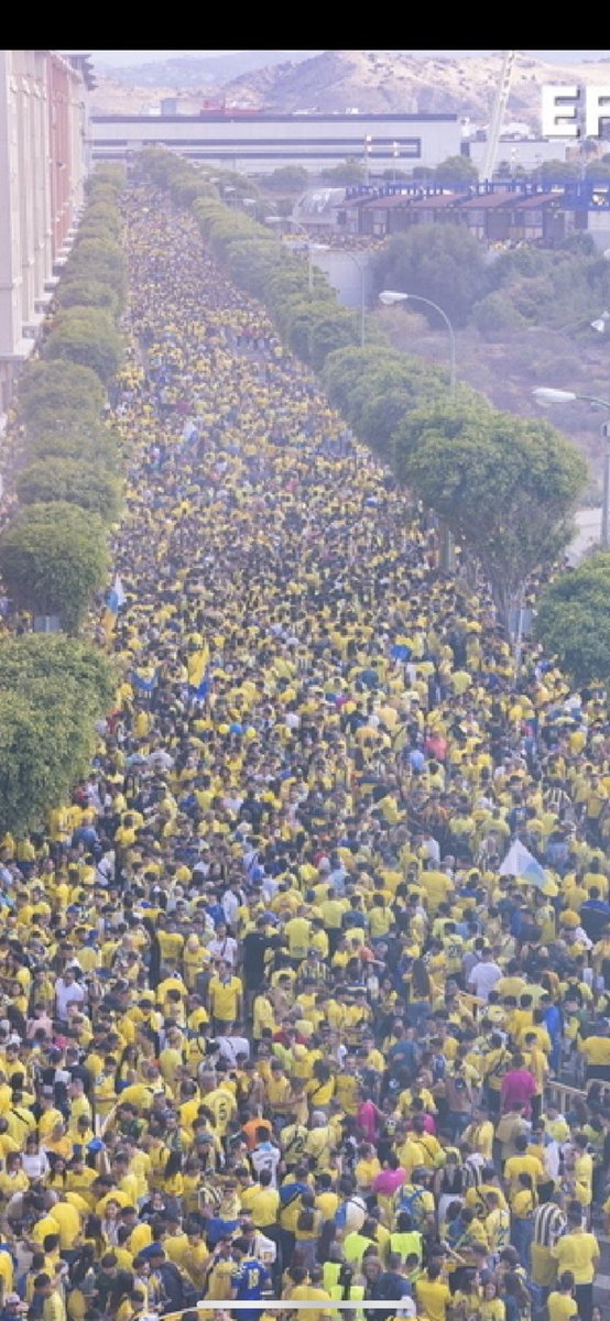 Qué burrada hicimos el 27 de mayo de 2023.

    Una afición de Primera <a href="/UDLP_Oficial/">UD Las Palmas</a>.