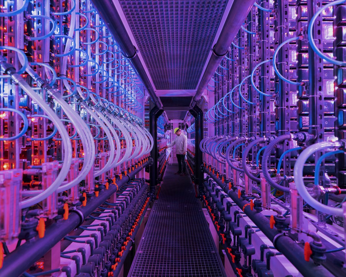 ÖRLÖ vörurnar eru ræktaðar í gáfnaljósi.

Nánar tiltekið í hátækni framleiðsluhúsinu okkar við Hellisheiðarvirkjun. loom.ly/6R2NTt8