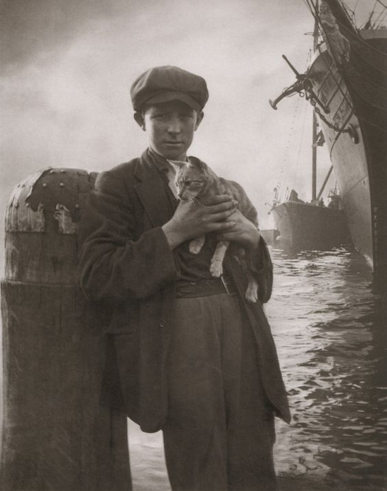 'The Ship's Cat,' Sydney, circa 1912. [Harold Cazneaux] A somewhat haunting image for your #MewseumMonday