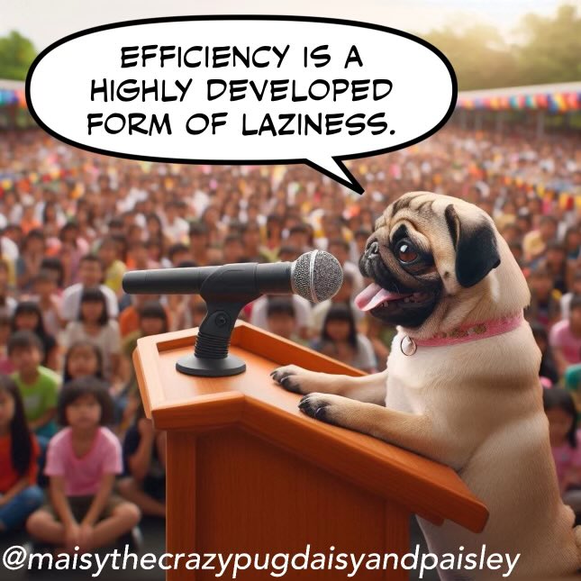 Daisy gave a lecture on efficiency.