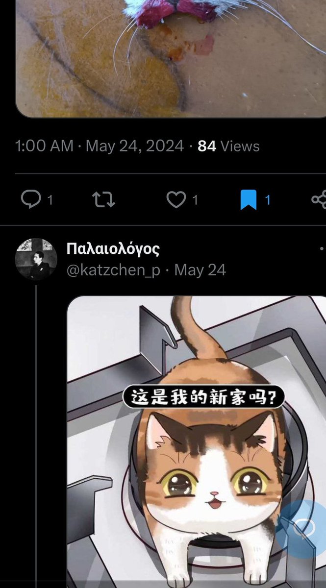 PhaedraXTeddy's tweet image. 🇨🇳#CatAbusersChina🇨🇳 have influence on the vulnerable #worldwide.
Why does #China🇨🇳 want to be associated with someone dressing up in costumes and fan arting #ChineseCatTorture on X? 
It&apos;s unbelievable that the story about the mosque, candy and schoolgirl accessories are for…