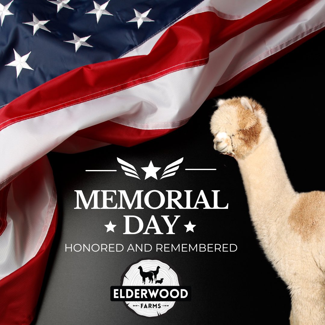 Honoring our nation’s heroes this Memorial Day 🇺🇸

#elderwoodfarms #elderwood #elwd #alpaca #alpacas #alpacafarm #cria #crias #memorialday #memorialdayweekend #memorial #memorialday2024 #fallenheroes #neverforgotten #remembered #honor #freedom #alpacalove #alpacalife #farmlove