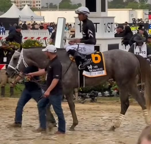 LADY BE GOOD GOES SHOPPING FOR MORE CLASSIC GLORY Following Seize the Grey's #Preakness win, @Avalyn_Hunter's Mares on Monday story highlighted the latest success of the Phipps female family of Lady Be Good. 👉americanclassicpedigrees.com/mares-on-monda…. ⚫️🔴#PhippsBloodlines #MareMonday