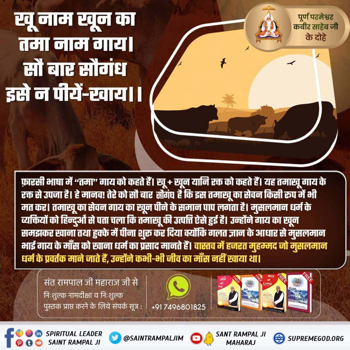 Vandnadassi's tweet photo. #परमात्माकबीरकी_वाणी_एकमंत्र के समान है
खू नाम खून का तमा नाम गाय। 
सौ बार सौगंध इसे न पीयें-खाय ।।

फ़ारसी भाषा में “तमा" गाय को कहते हैं। खू + खून यानि रक्त को कहते हैं। यह तमाखू गाय के रक्त से उपजा है। 

Kabir is God https://t.co/yiW4WpLRyJ