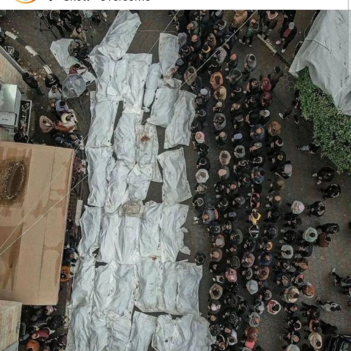 Nyenyak kah tidurmu semalam kawan!

Heningnya kita memekakan telinga!
Diamnya kita adalah keterlibatan!

Senantiasa panjatkan doa ke Allah, jangan pernah terhenti!  

لَا حَوْلَ وَلَا قُوَّةَ إِلَّا بِٱللَّٰهِ

#ALLEYESONRAFAH 
#ALLEYESONRAFAH 
#ALLEYESONRAFAH