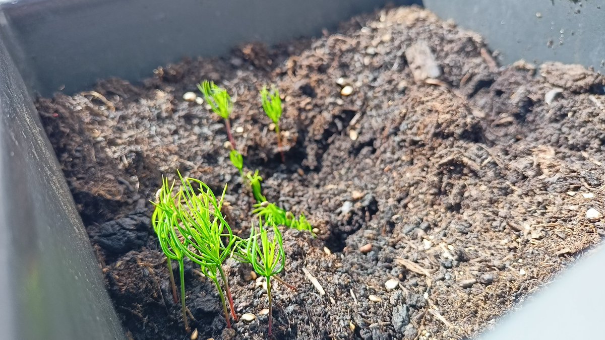 Дмитрий Раздобурдин tweet media