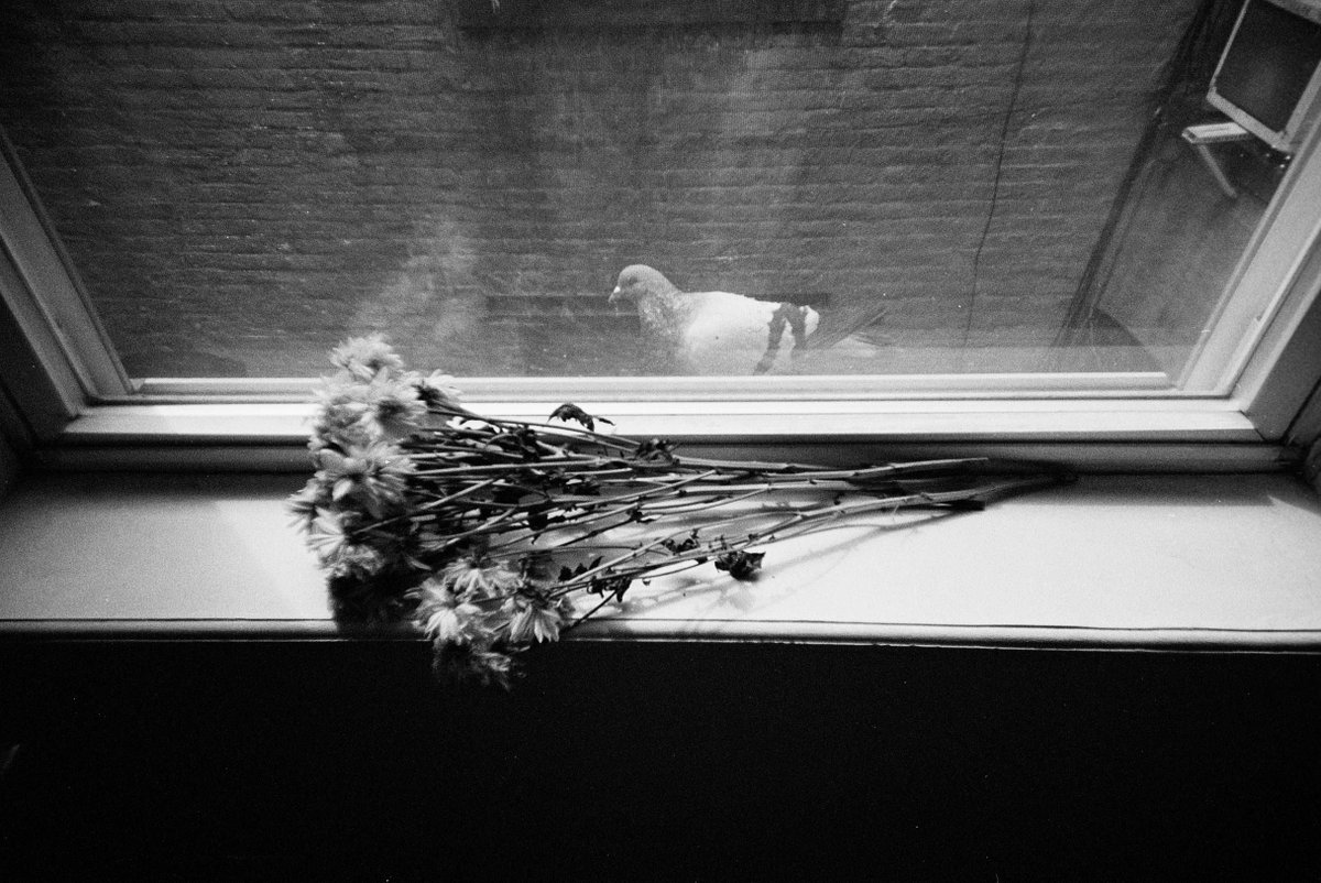 In this interview Helena Goñi takes us on a journey throughout her amazing everyday life with the #LomoApparat — from a trip to Rhode Island, to quality family time, to documenting the streets! ❤️

buff.ly/4bKFony