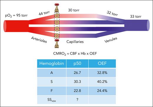 Oxygen tug-of-war, voxelotor, and the brain ow.ly/NEW850RTHPs #clinicaltrialsandobservations