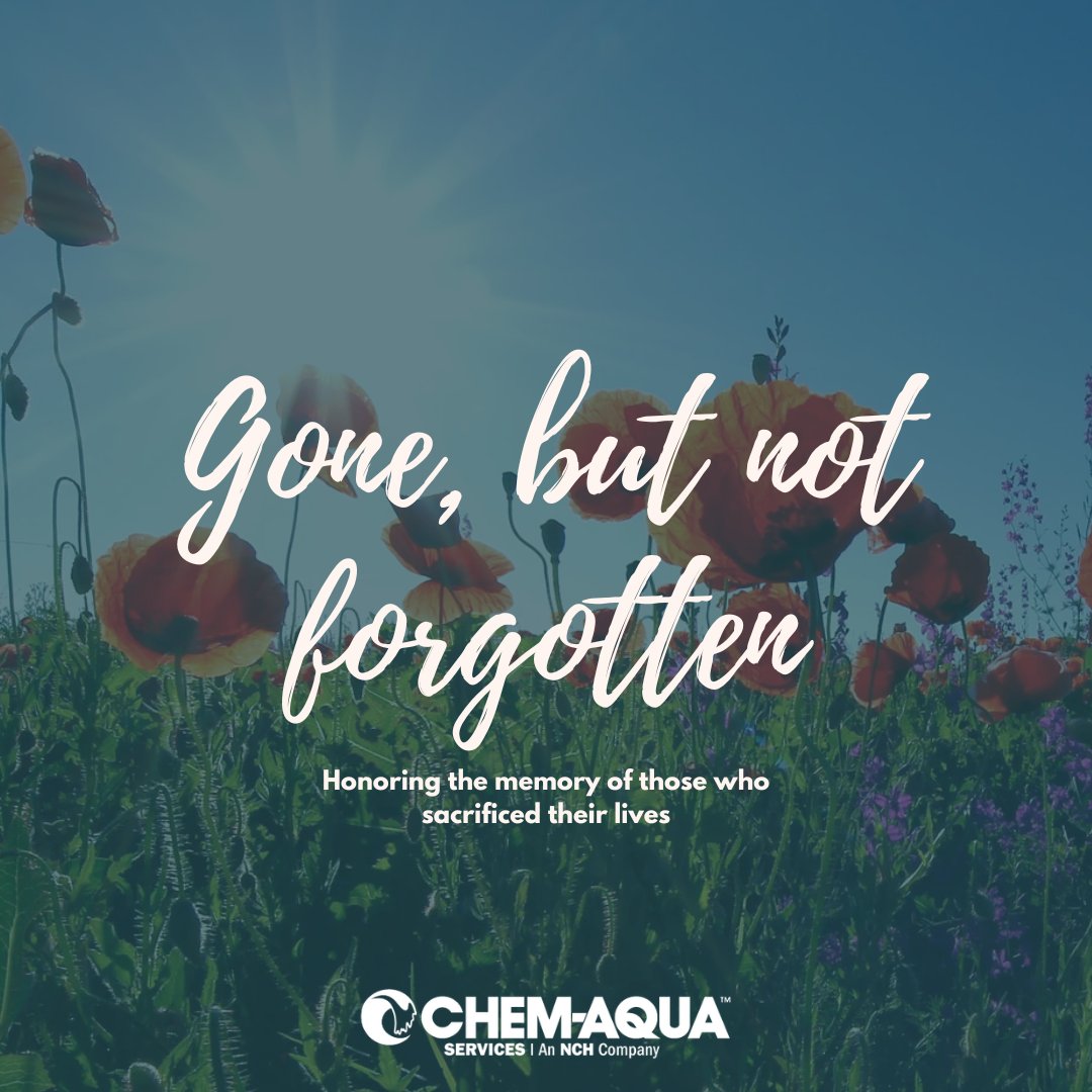 Today, we celebrate and honor the brave men and women who made the ultimate sacrifice for our country. We are grateful for our freedom because of their selfless actions. #MemorialDay #DayOfRemembrance #USA #chemaqua