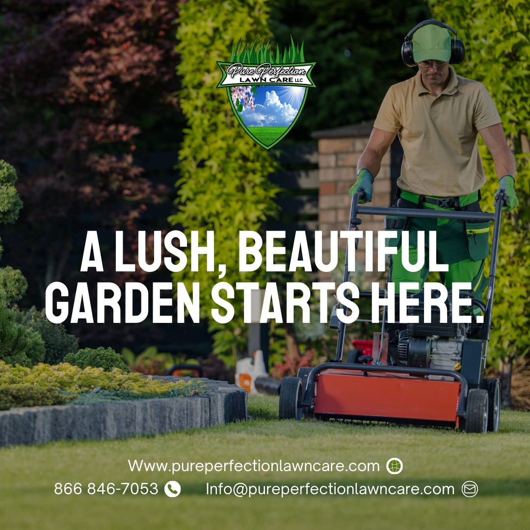 Trust Pure Perfection Lawn Care to turn your garden dreams into reality, one blade of grass at a time. 🌼 

Let's create the garden of your dreams together!

🌐 pureperfectionlawncare.com
📞 866 846-7053
📧 Info@pureperfectionlawncare.com

#PurePerfectionLawnCare