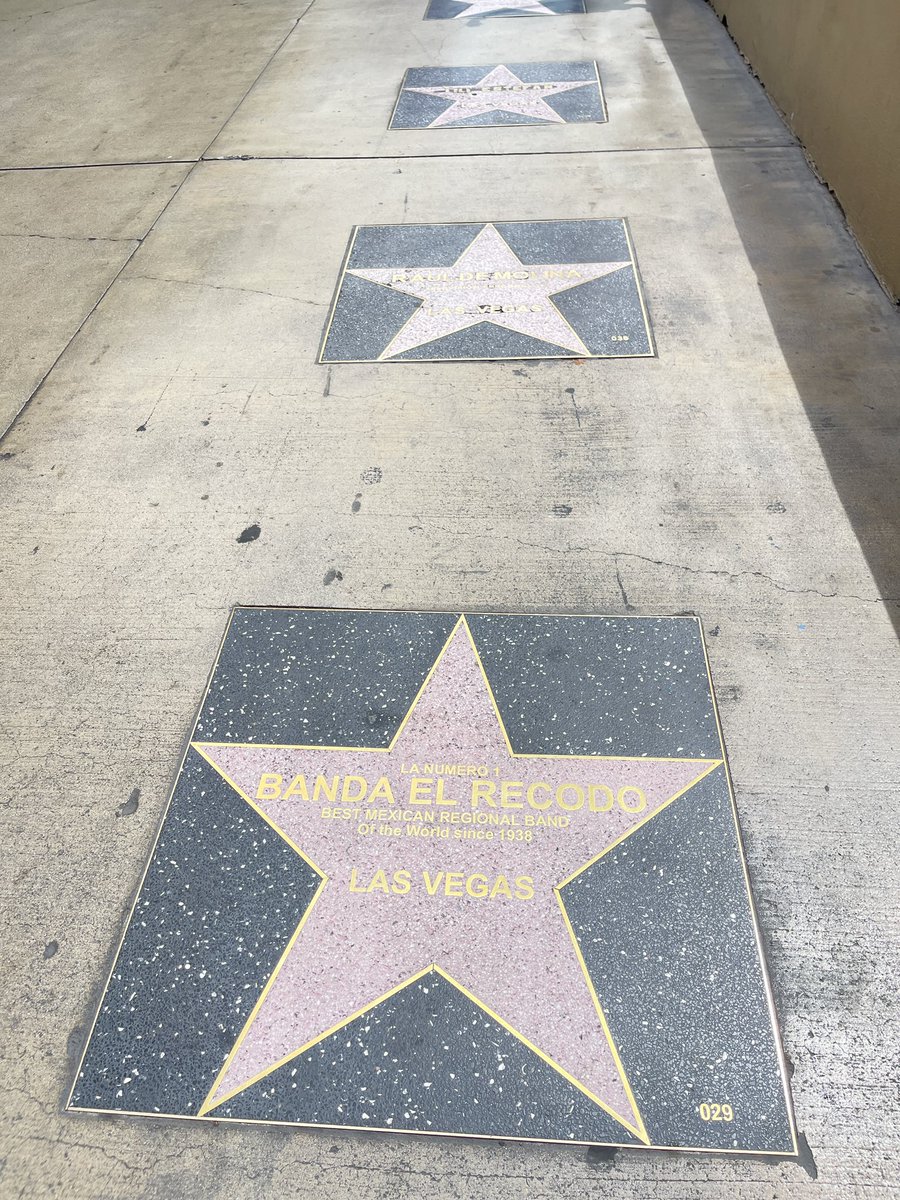 intheolivegroves tweet media