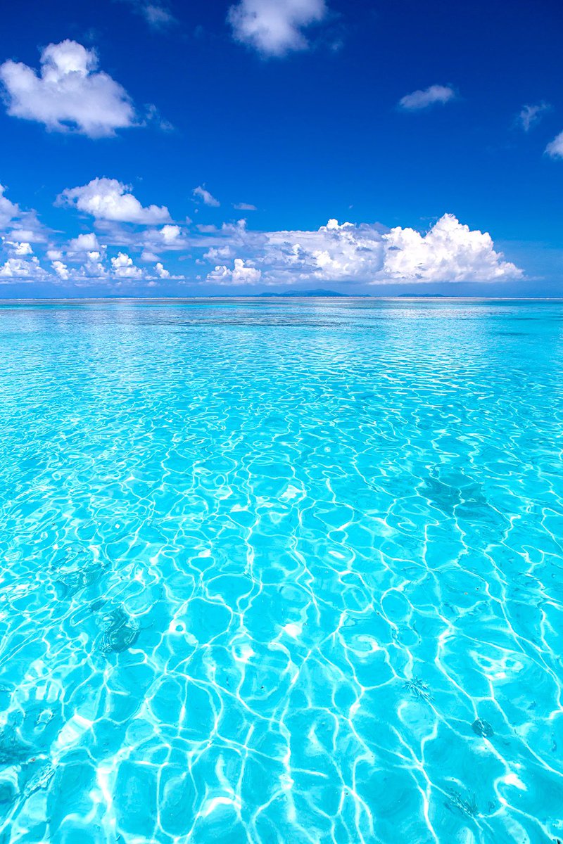 名前は黒島でも
黒島の海は驚くほど青い

癒しの沖縄離島
