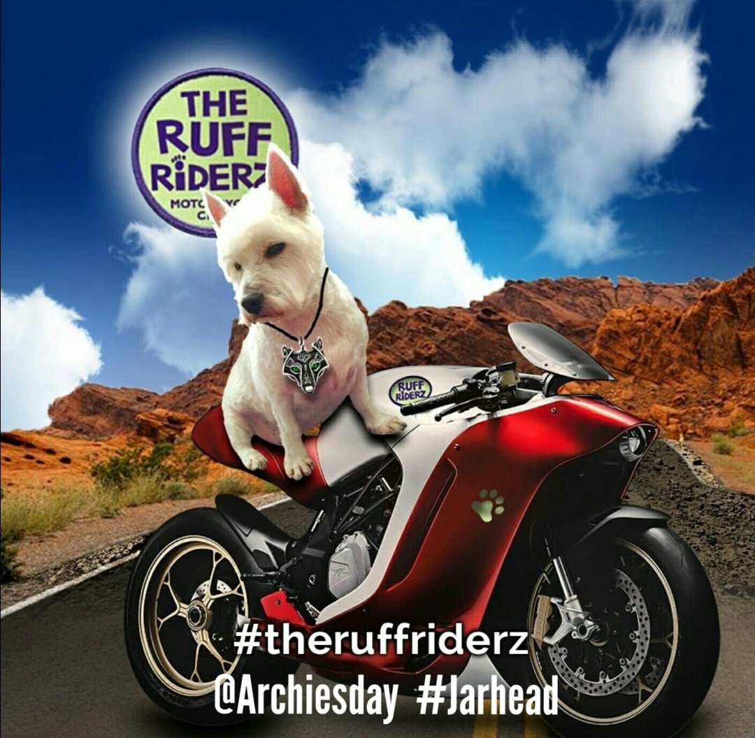 Apparently 6 years ago today. @theruffriderz #ruffriderz #jarhead #theruffriderz #mvagusta