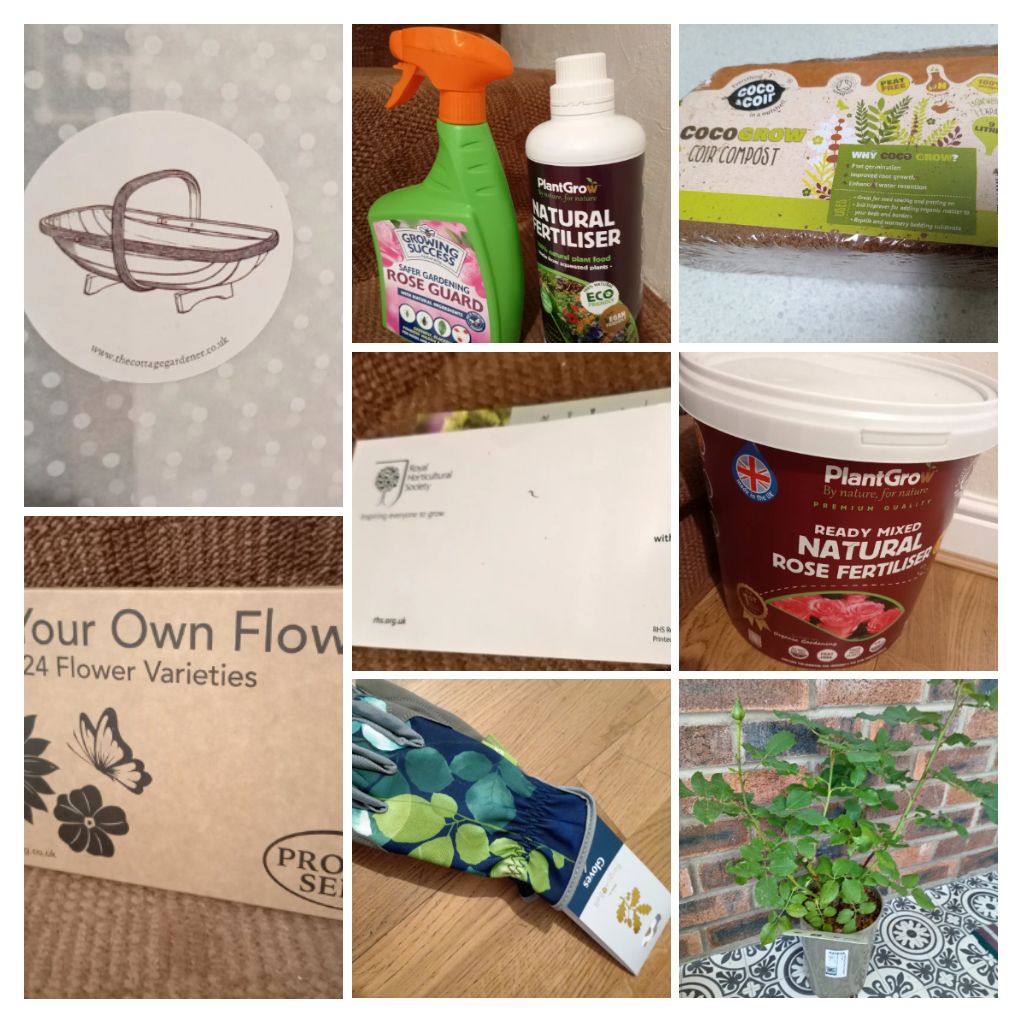 This month's raffle prizes with seasonal shrub from Asselby Nurseries @burgonandball Thank you to @PlantGrow @ProntoSeed @RHSHarlowCarr @CocoandCoir & Beautiful King Charles Rose and the mystery box you'll have to wait and see.... #supportinghorticulturalcompaniesthatsupportus