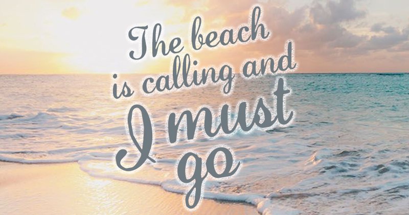 Hello. I must be going.🌤️🌊
best-online-travel-deals.com
#beachvibes #beachday #beaches