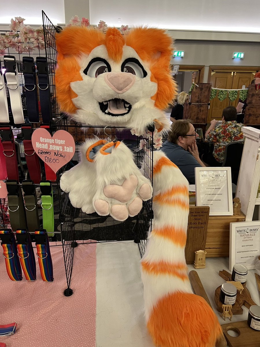 Jester/Lucy 🔜CFZ tweet media