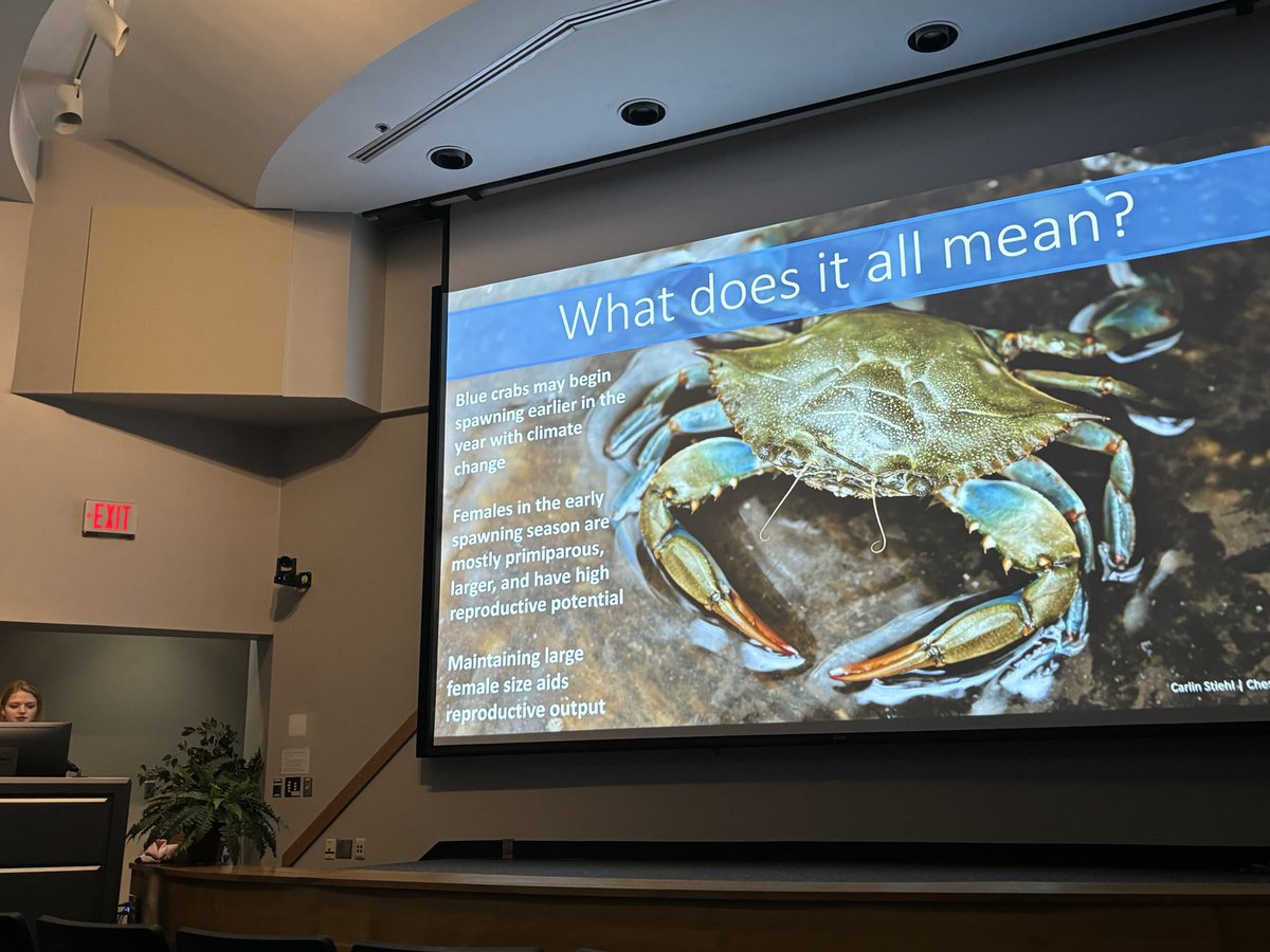 A delayed, but exciting announcement: this spring I successfully defended my dissertation and graduated from <a href="/VIMS_News/">Virginia Institute of Marine Science</a> with my phd 🎉🦀!