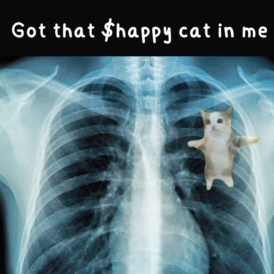 $Happy Cat tweet media