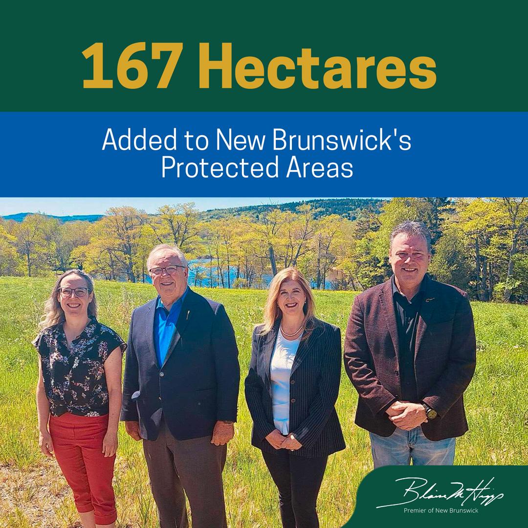 167 more hectares just got added to New Brunswick’s protected areas! This new area is at the former Lonewater Farm recovery facility in Grand Bay-Westfield. It’ll be a huge asset, not just locally but for our province and our future generations. We’re making conservation