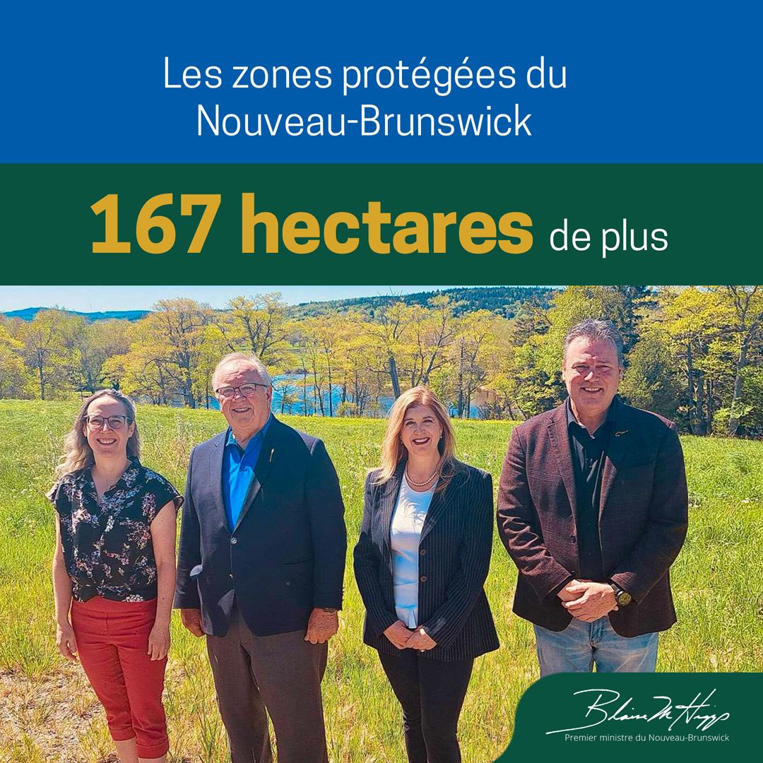 Les zones protégées du Nouveau-Brunswick comptent désormais 167 hectares de plus. Cette nouvelle zone se trouve sur le site de l'ancienne installation de récupération de Lonewater Farm, à Grand Bay-Westfield. Elle présentera un atout considérable, non seulement au niveau local,