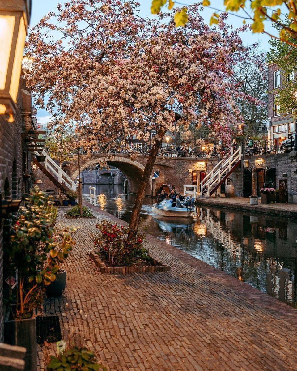 Utrecht, Netherlands 🇳🇱