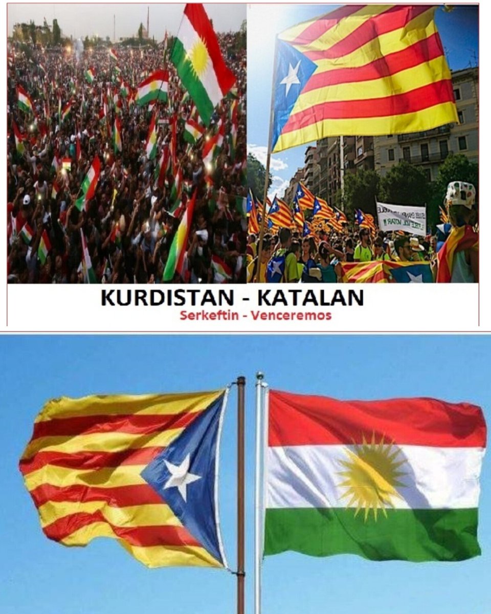 Katalonia & Kurdistan
freedom