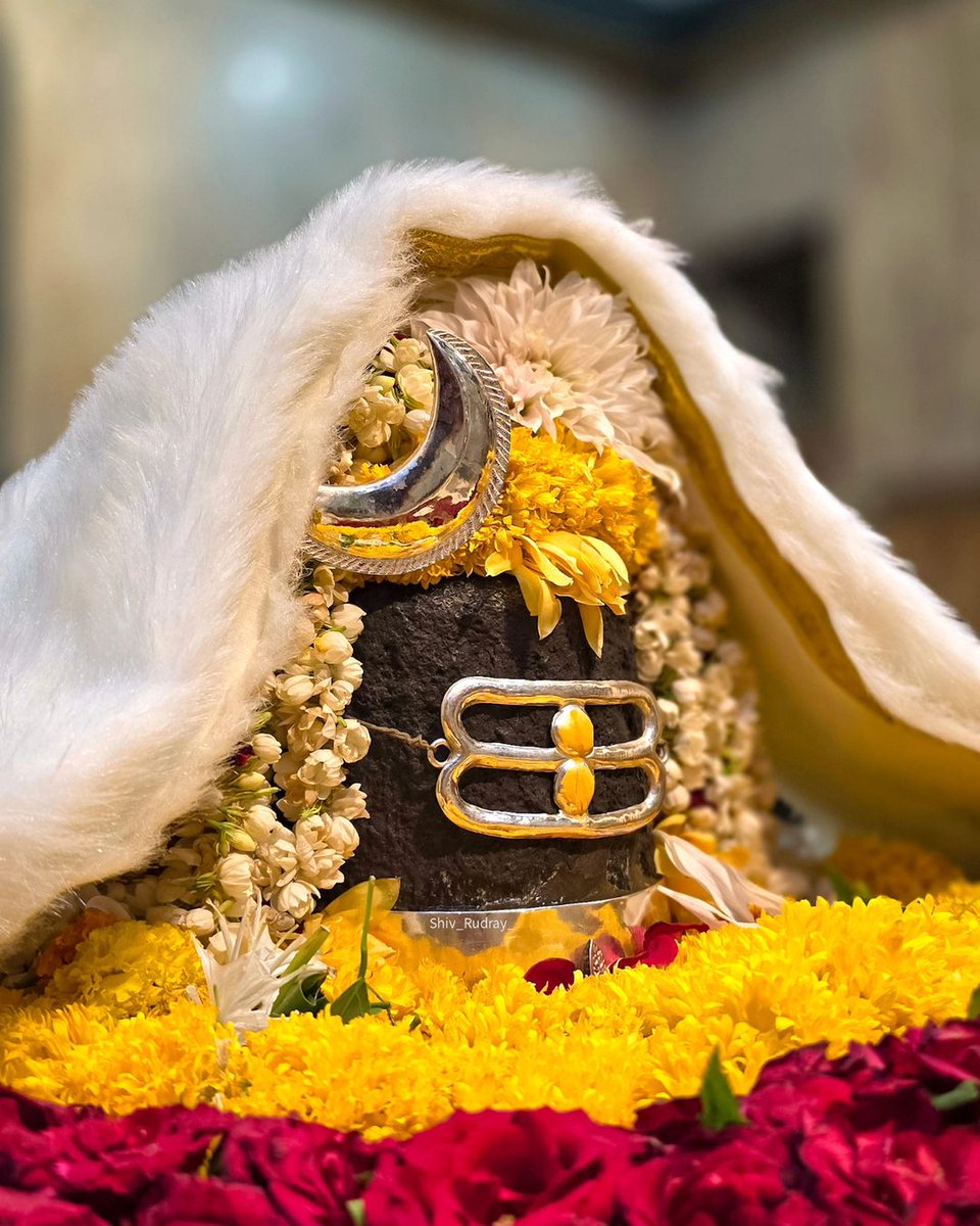 Divya Darshan Of Shree Kapaleshwar Dham🚩