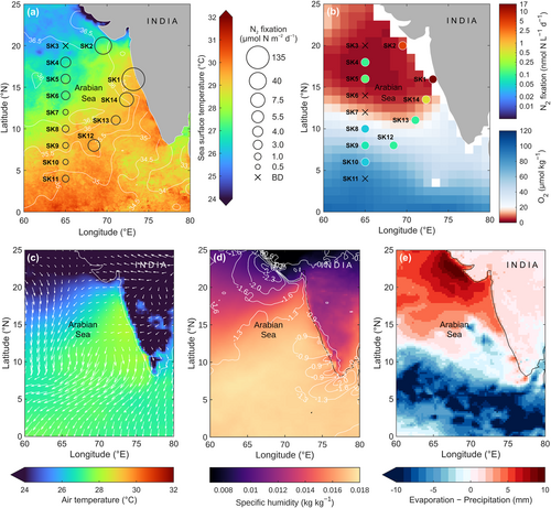 Despite the importance of N2 fixation for long-term changes in ocean productivity, the major controls on its environmental distribution remain unclear. Saxena et al., report N2 fixation rates from the Arabian Sea during the winter monsoon. agupubs.onlinelibrary.wiley.com/doi/full/10.10…