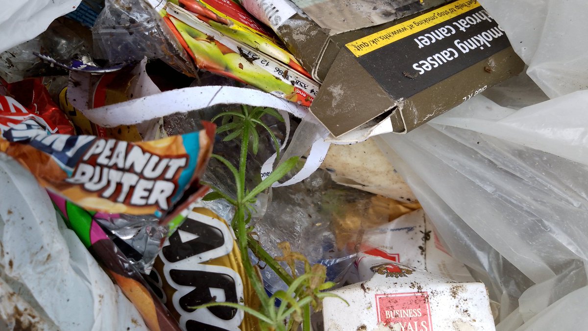 I have done 2 bags of litter today. Photos of some of it below. #LincsConnect