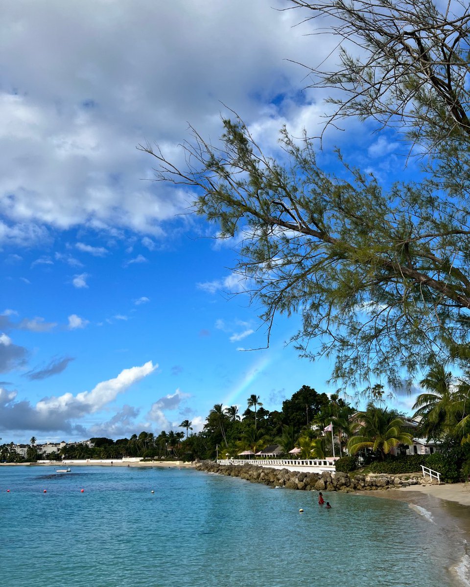 Dream in shades of blue on Barbados' breathtaking beaches.💙🌊

📍: West Coast 

#VisitBarbados #LoveBarbados #MyBarbados
