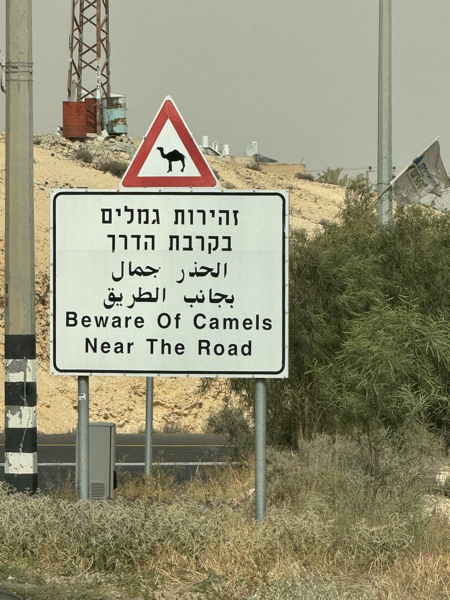 In southern Israel where you have to watch out for rockets and wandering camels