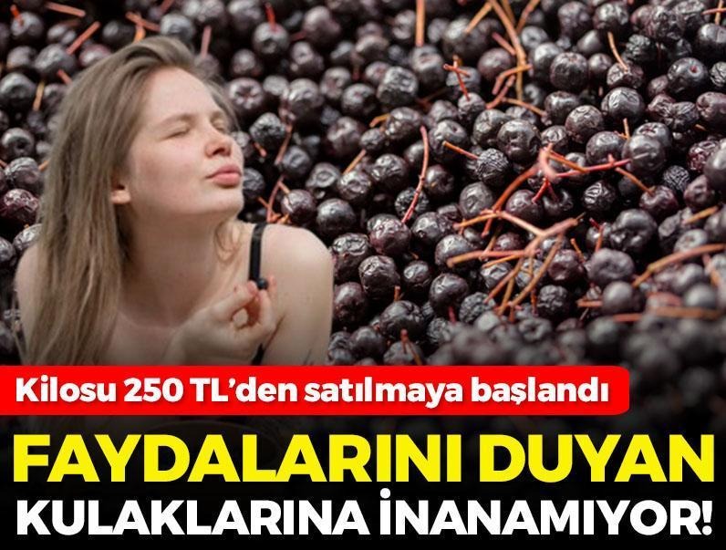 Kanserli eşi için yetiştirdi, iş sahibi oldu 📍Kilosunu 250 TL'den satıyor: Doğanın C vitamini kralı 'süper meyve' 📍Karaciğeri de yeniden doğmuş gibi yapıyor posta.com.tr/galeri/kanserl…