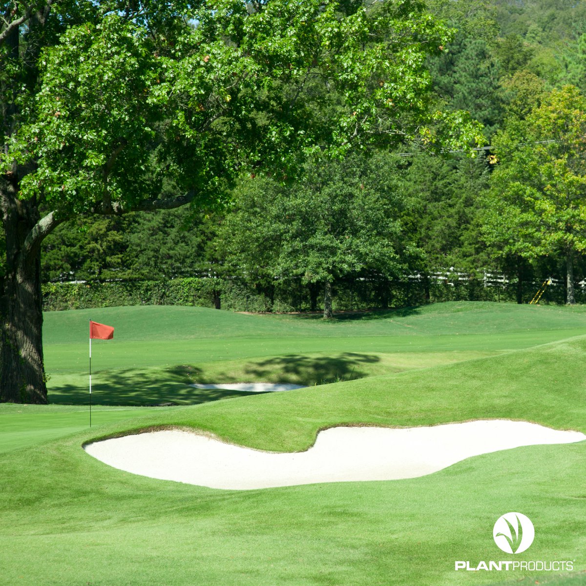 C’est la dernière semaine pour obtenir les prix de 2023 sur votre programme de contrôle de la moisissure des neiges. Profitez d’économies supplémentaires avec <a href="/BASF_Turf_CA/">BASF Turf Canada</a>. Contactez votre représentant pour discuter d'Insignia Pro et du programme de remise <a href="/BASF_Turf_CA/">BASF Turf Canada</a> Infinity